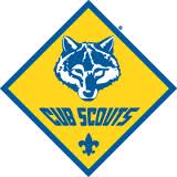 scouting - cub