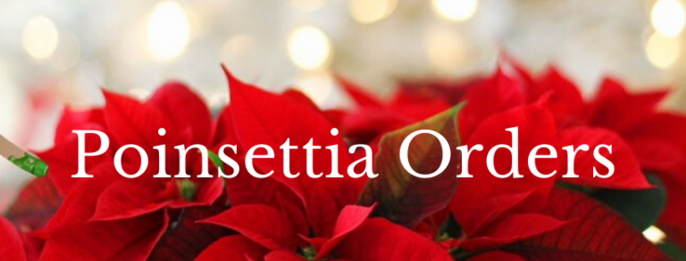 Poinsettia Order Form - First United Methodist Church of Gilbert